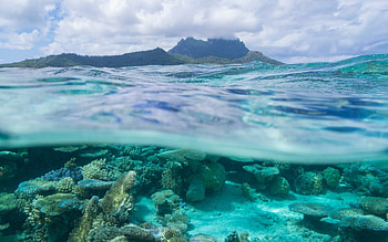 Bora Bora coral reef, Underwater wave, French Polynesia, Leeward Islands HD wallpaper