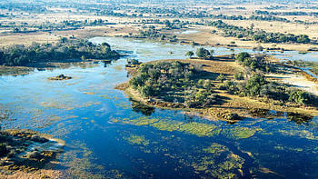 Okavango Delta, Travels, Natural beauty, Wildlife paradise HD wallpaper