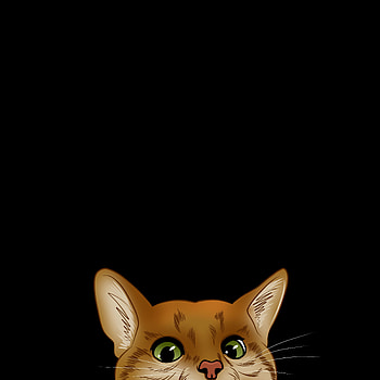Art, Cat, Muzzle, Hide, Peek Out, Look Out HD phone wallpaper