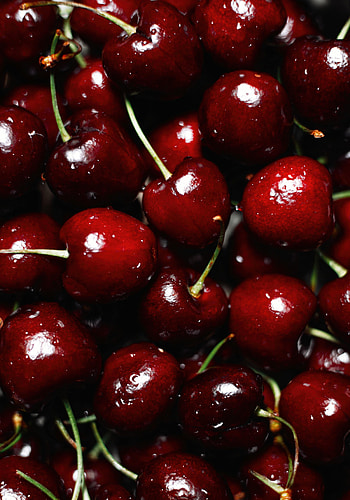 Food, Berries, Wet, Ripe, Cherries HD phone wallpaper
