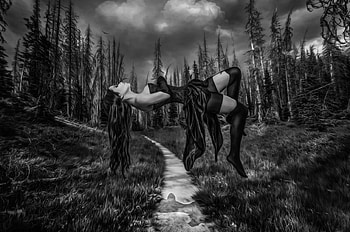 Witch In The Woods, night, woods, floating, witch HD wallpaper