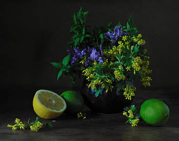 still life 1, art , still life, nature, flowers, fruits, nice HD wallpaper
