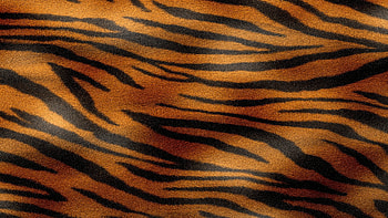 Texture, skin, tiger, black, tigru, orange, pattern HD wallpaper