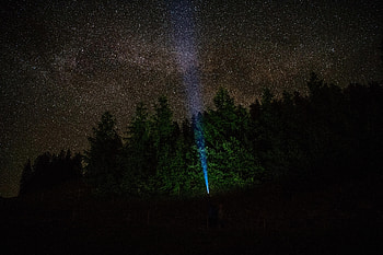 Night, Dark, Forest, Starry Sky, Glow, Flashlight HD wallpaper