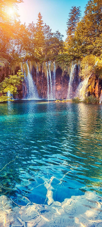 Enchanting waterfall trees, Beautiful , Serene nature, Peaceful ambiance HD phone wallpaper