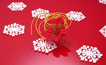 Holidays, Snowflakes, Flower, Surface HD wallpaper
