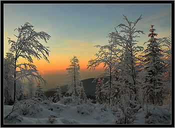 winter sunset, winter, snow, trees, forest, sunset HD wallpaper