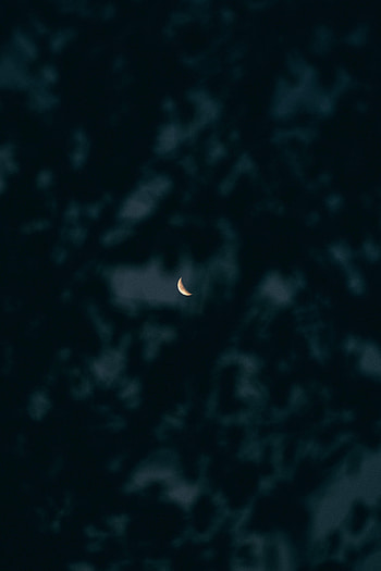 Sky, Moon, Dark, Branches HD phone wallpaper