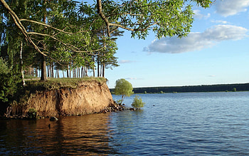 Nature, Water, Rivers, Bush, Shore, Bank, Wood, Tree, Branch, Clay HD wallpaper