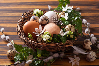 Happy Easter!, egg, ivy, flower, green, leaf, card, easter, nest HD wallpaper