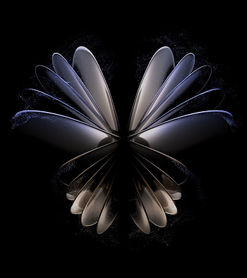 Mi Fold 2, moths_and_butterflies, petal HD phone wallpaper