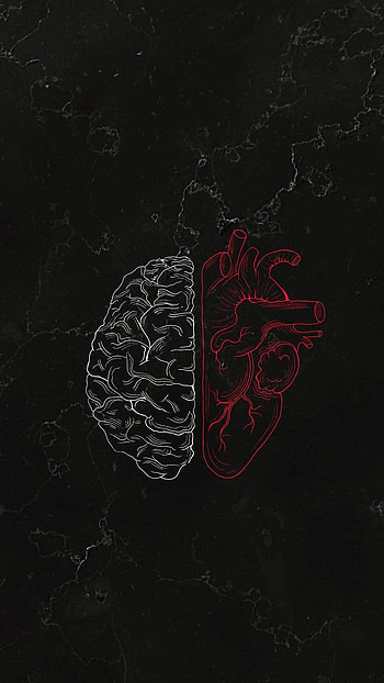 Brain Vs Heart - : HD phone wallpaper