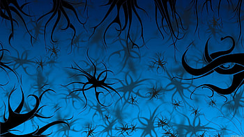 Abstract, Background, Patterns, Dark, Curls HD wallpaper