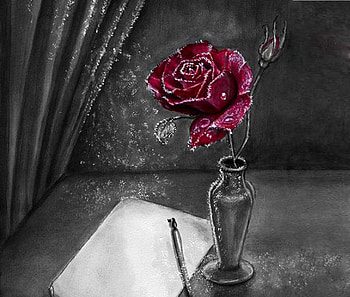 What to write, rose, letter, love, red HD wallpaper
