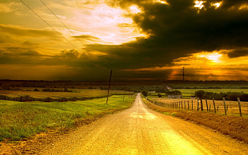 Golden evening, light, fence, clouds, road, grass, sunset HD wallpaper