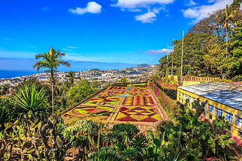 Madeira, Island getaway, Travel destination, Discover beauty HD wallpaper