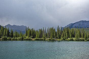 Nature, Trees, Sky, Mountains, Lake, Spruce, Fir HD wallpaper