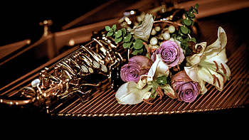Saxapohone and Flowers, flowers, graph, pretty, saxa HD wallpaper
