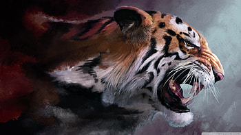 Tiger, cat, nature, fantasy HD wallpaper