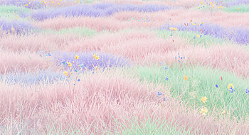 Vibrant Pastels: Lawn, lawn, Pastel Color, flower, field, nature HD wallpaper