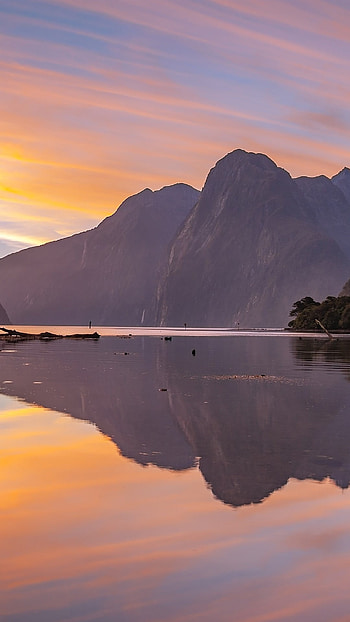 Mountain Glacier at Milford Sound, South Island, Windows 10 Spotlight HD phone wallpaper
