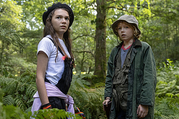 Enigmatic Forest Adventure, movie, Cocaine Bear HD wallpaper