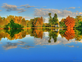 Autumn lake, autumn, nature, forest, lake, tree HD wallpaper