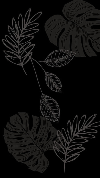 Minimalistic . • Android. Modern Minimalist Monstera Leave. background instant Aesthetic. Simple , Android black, Leaves , Black and White Leaf HD phone wallpaper
