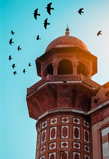 A stunning view of a historical minaret in New Delhi with birds in flight against a clear blue sky. HD phone wallpaper