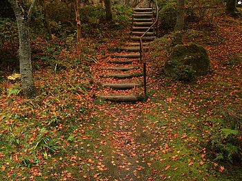 Landscape, Roads, Autumn HD wallpaper