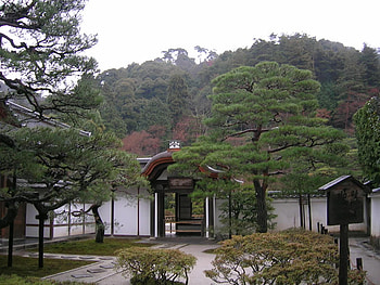 Kyoto Landscape WDS, asia, graphy, japan, trees, sky, forests, kyoto HD wallpaper