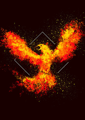 Art, Fire, Bird, Square, Phoenix HD phone wallpaper