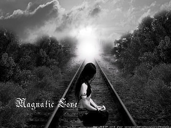 MAGNETIC LOVE, magnetic, love HD wallpaper