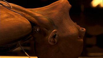 I Am Legend, Full , Breathtaking scenes, Cinematic experience HD wallpaper