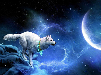 Fantasy, Races, Moon, Break, Precipice, Wolf, Arrivals HD wallpaper