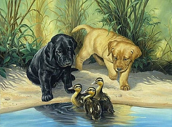 By Linda Picken, linda picken, animal, dog, puppy, painting, art, tortle HD wallpaper