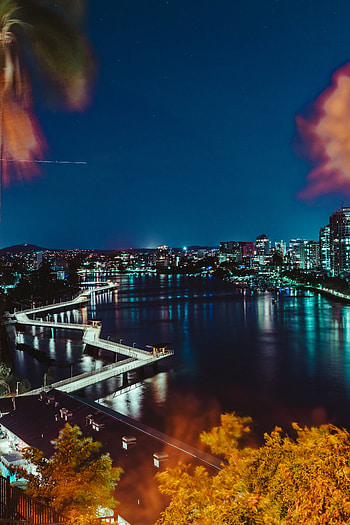Cities, View From Above, Branches, Night City, City Lights, Australia HD phone wallpaper