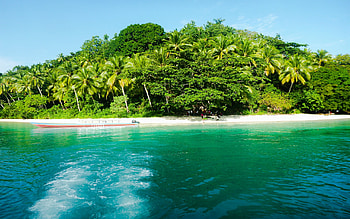 Indonesia, , Beach, , Island, Ocean, Palm Tree, Raja Ampat, Tropical HD wallpaper