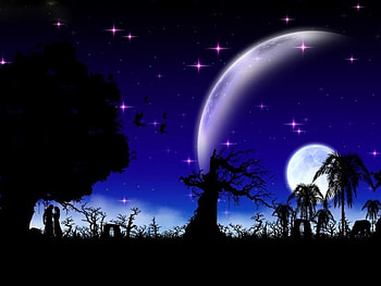 Spacious Love, night, moon, couple, stars, tree HD wallpaper