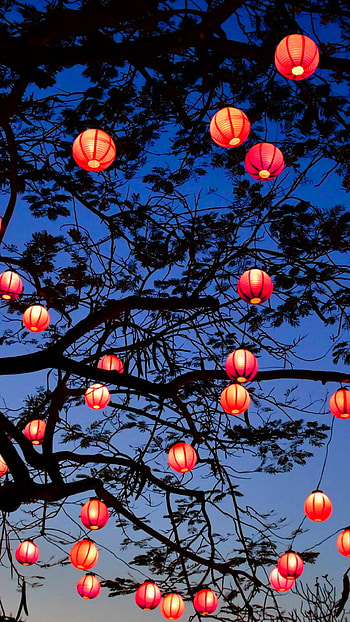 Chinese new year, Lanterns, Festive decoration, Cultural celebration HD phone wallpaper