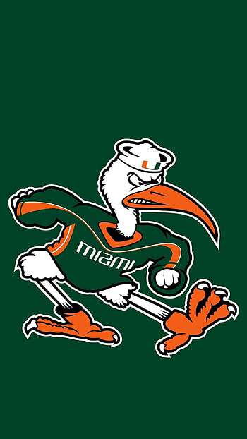 Miami Hurricanes HD phone wallpaper