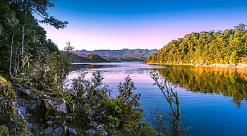 Lake, nature, water, tree HD wallpaper