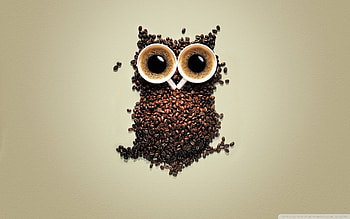 Funny, Food, Drinks, Coffee HD wallpaper