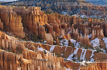 Winter, Nature, Trees, Snow, Canyons HD wallpaper
