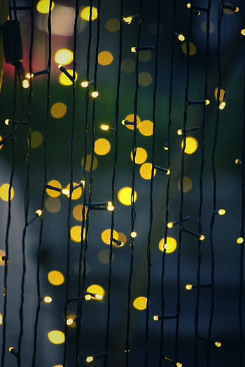 A mesmerizing display of hanging string lights creating a warm bokeh effect, ideal for festive or holiday decoration. HD phone wallpaper