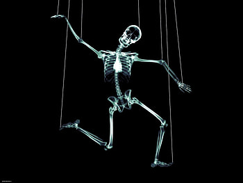 Background, Skeletons HD wallpaper