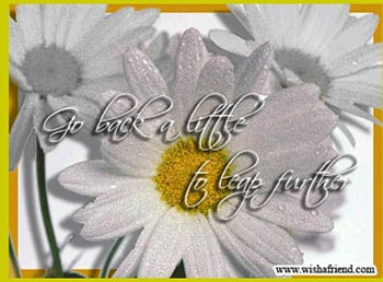 Leap Further, flowers, frame, inspire, daisies HD wallpaper
