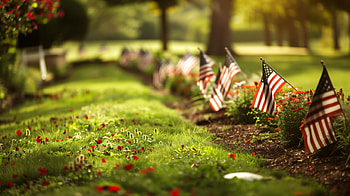 Memorial Day Tribute: American Flags, holiday, memorial day, american flag HD wallpaper