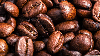 roasted coffee beans, coffee, beans, macro, roasted HD wallpaper