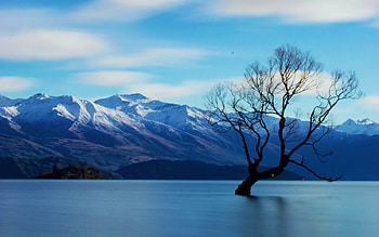 Nice day at That Wanaka Tree in New Zealand, landscape, clouds, sky, mountains, water HD wallpaper